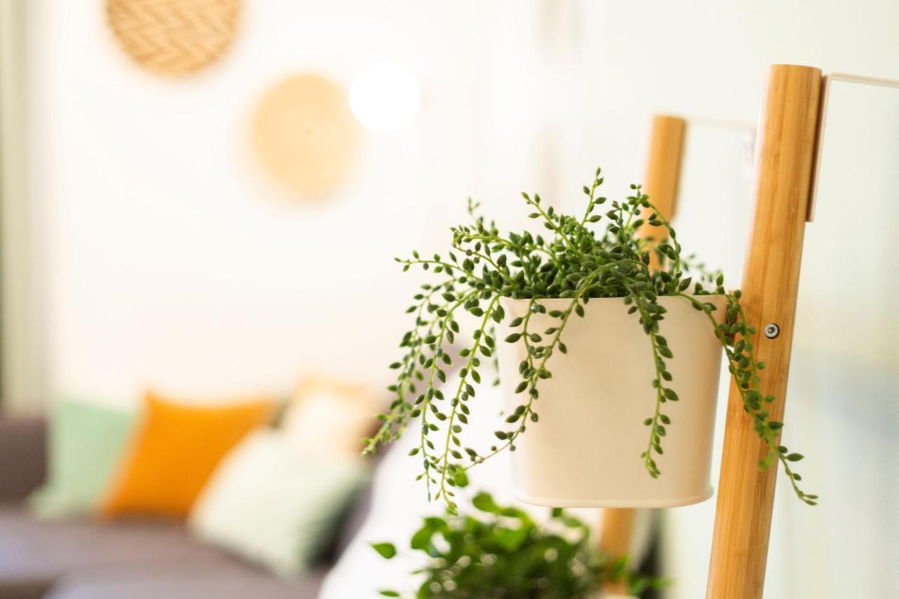 Green & Cozy Apartment - 15 Min To City Center Vídeň Exteriér fotografie